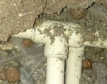 岱山测漏水多少钱