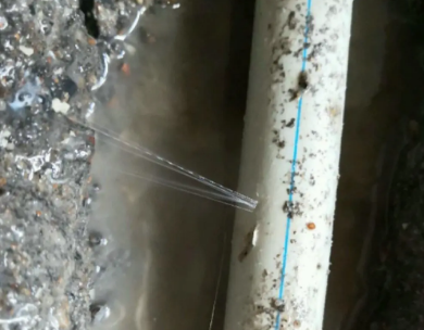 岱山测漏水哪家好