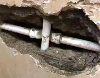 岱山测漏水哪家好