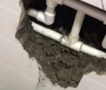 岱山漏水检测电话