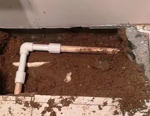 岱山测漏水哪家好