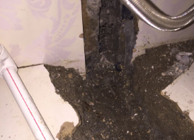 岱山卫生间测漏水哪家好