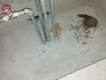 岱山卫生间测漏水价格明细