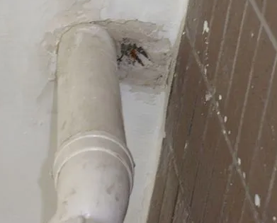 岱山漏水检测哪家好